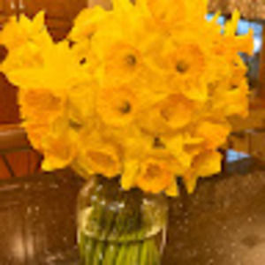 Meet your Posher, Elena